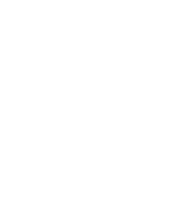 Mark Allen Associates